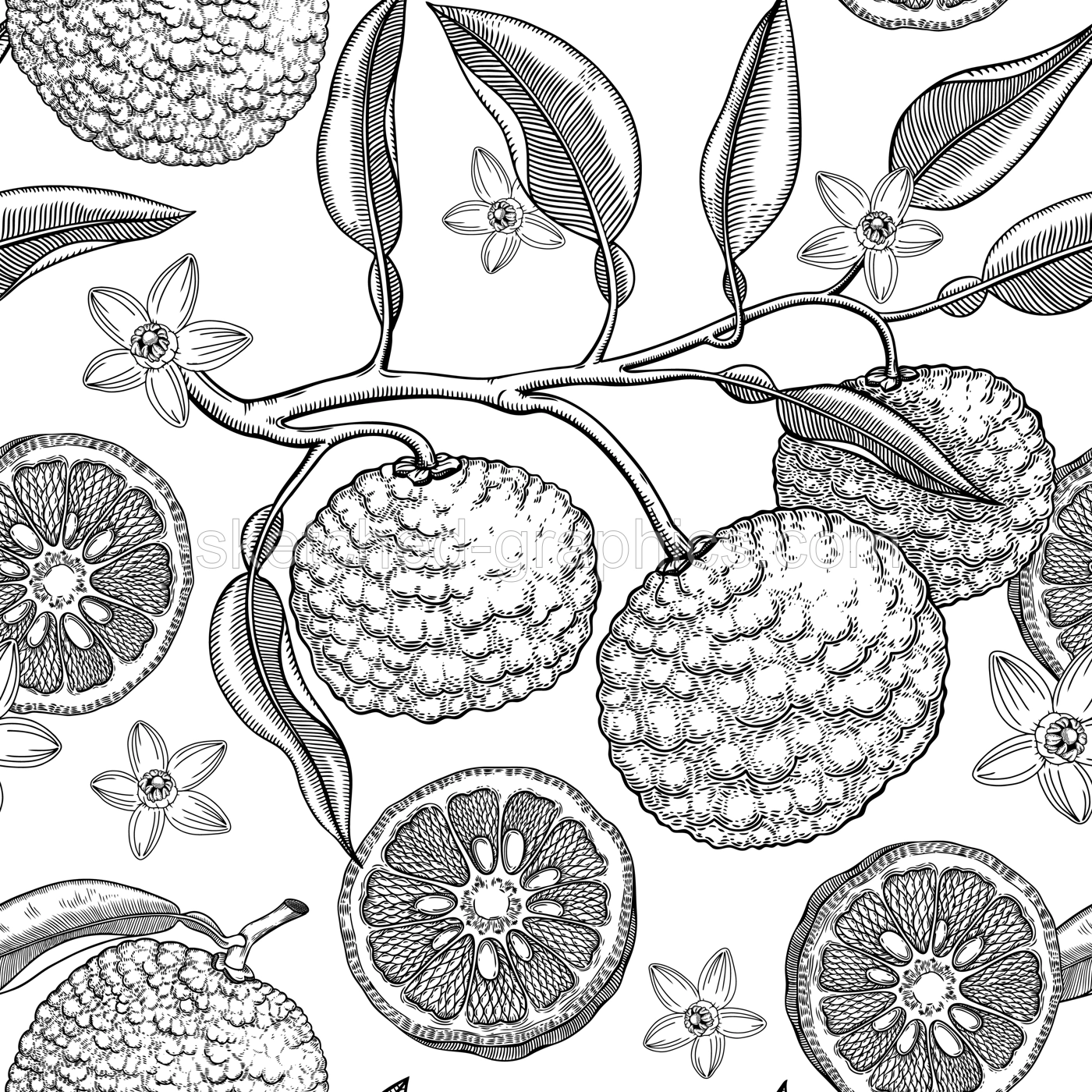 Sketched yuzu background with decorative fruit, leaves, branches, and flowers in engraving style. Hand-drawn citrus plant seamless pattern. Asian citron botanical design for print.  Illustration